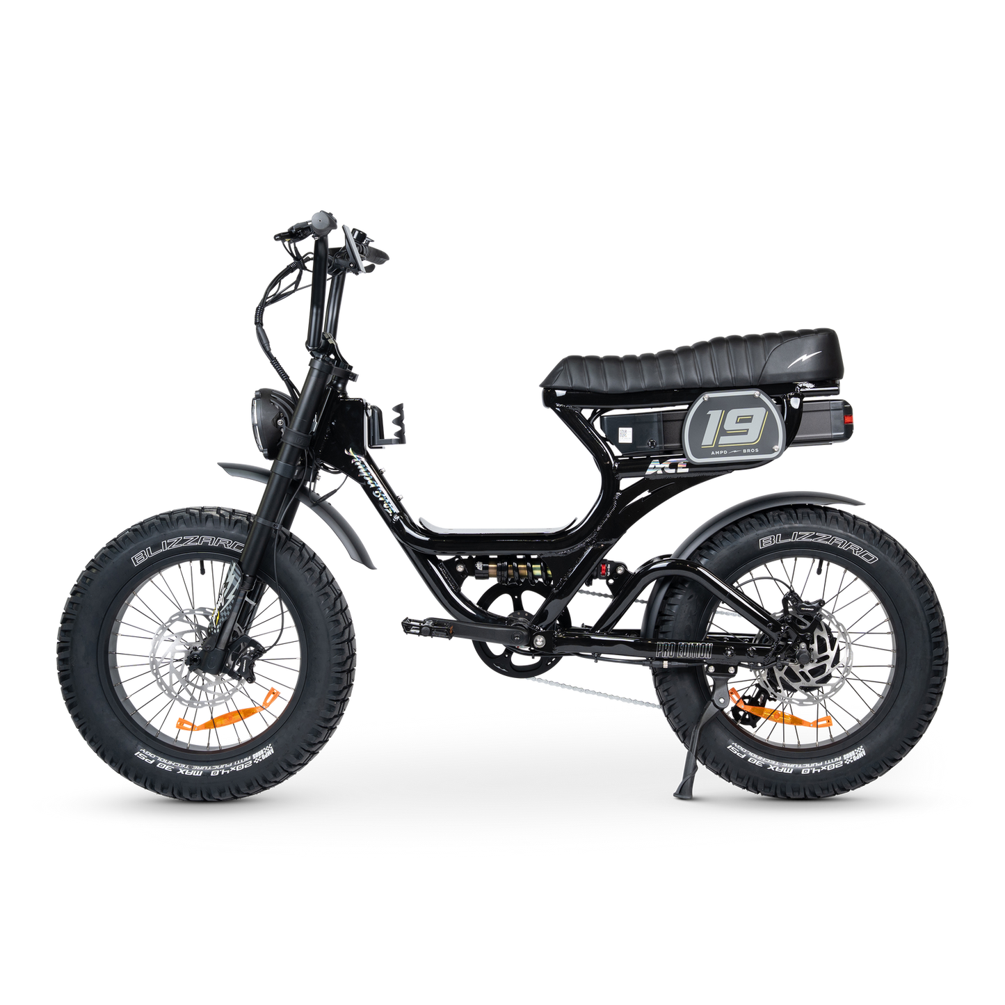 ACE PRO Electric Bike