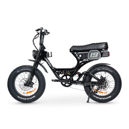 ACE PRO Electric Bike