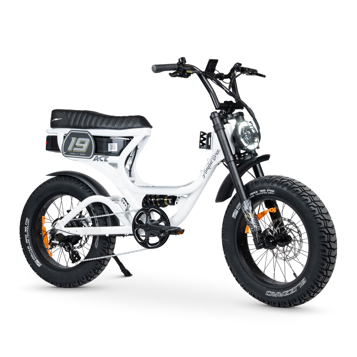ACE PRO Electric Bike