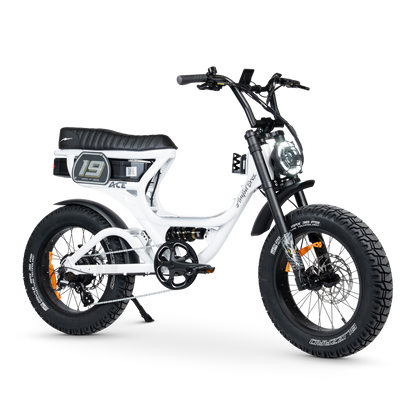 ACE PRO Electric Bike