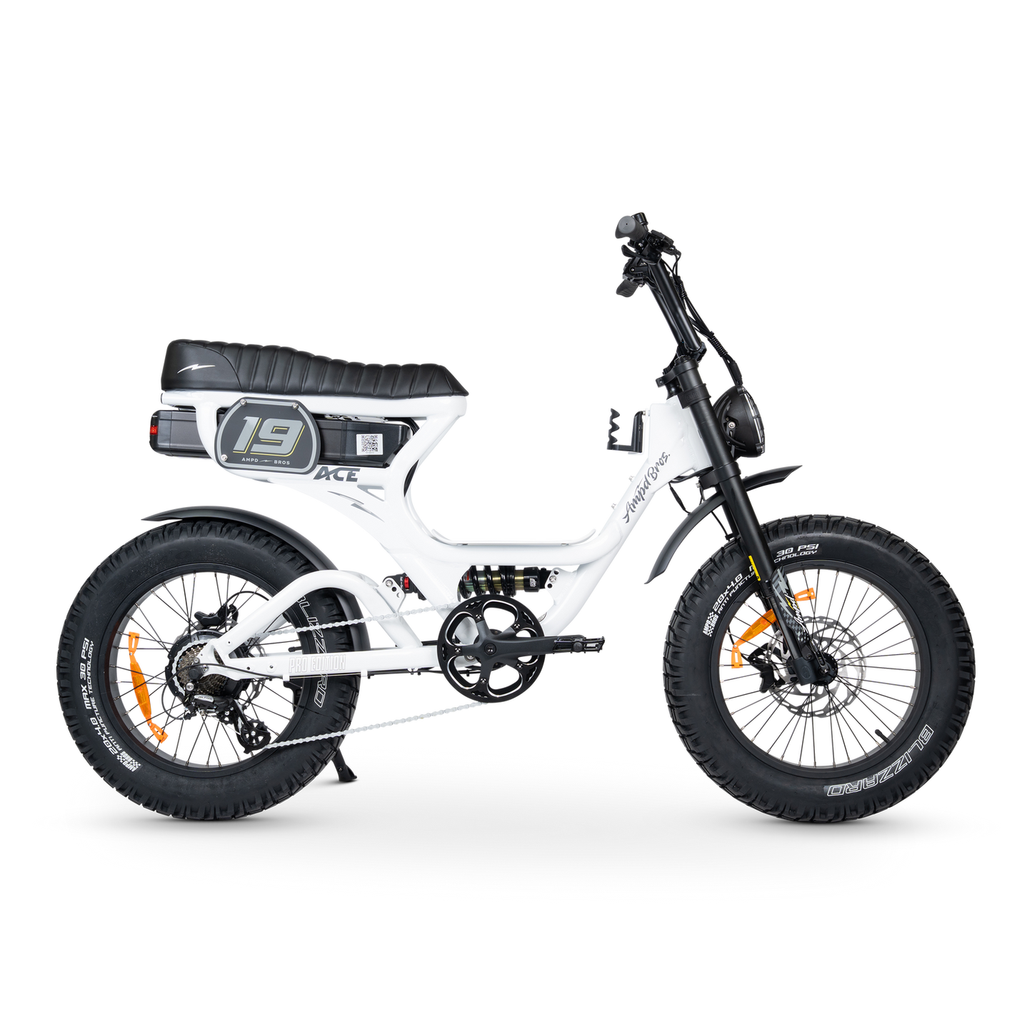 ACE PRO Electric Bike