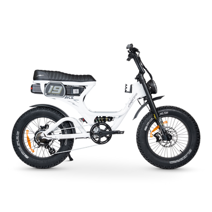 ACE PRO Electric Bike