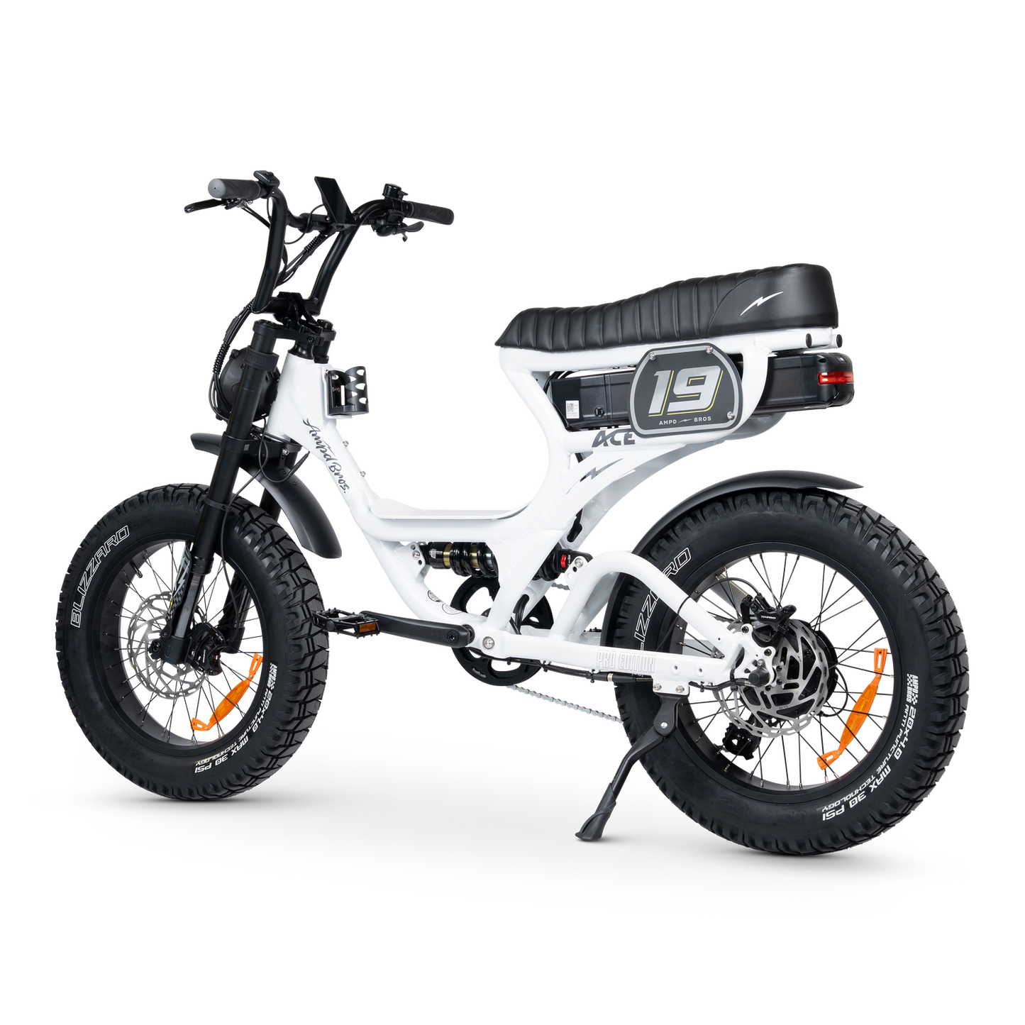 ACE PRO Electric Bike