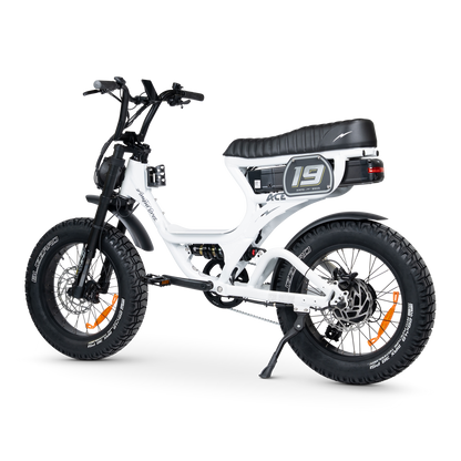 ACE PRO Electric Bike