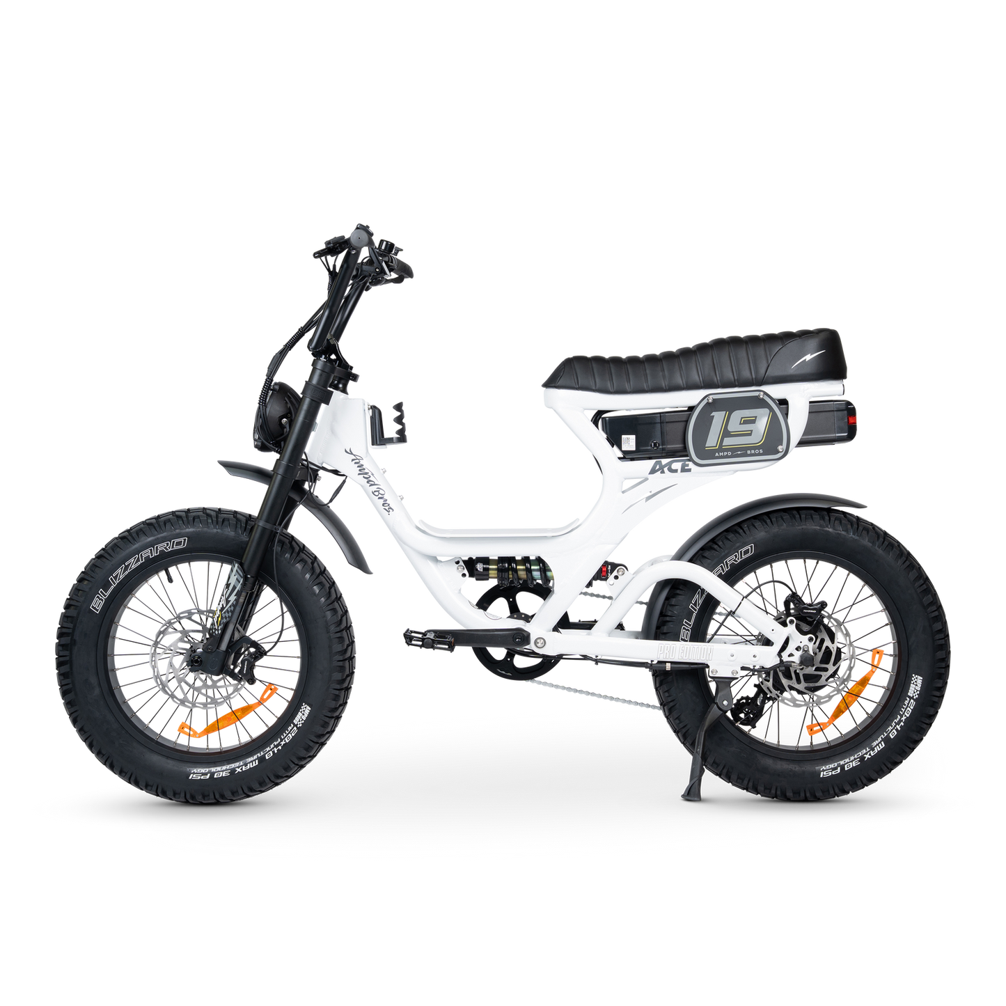 ACE PRO Electric Bike