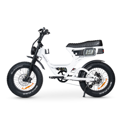 ACE PRO Electric Bike