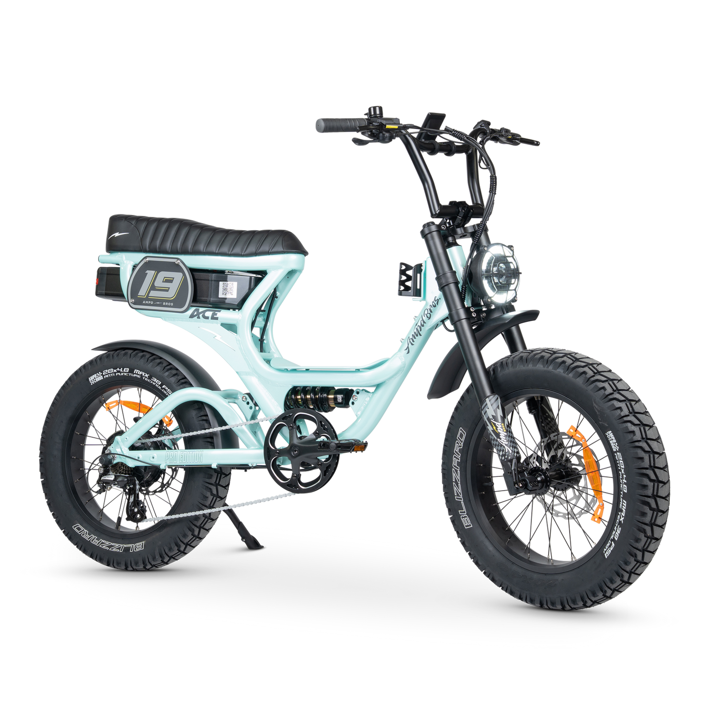 ACE PRO Electric Bike