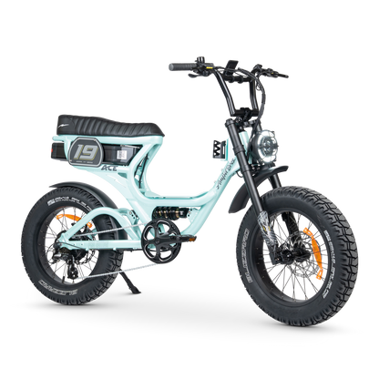 ACE PRO Electric Bike