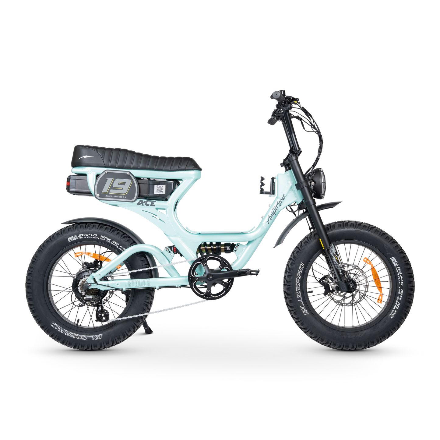 ACE PRO Electric Bike