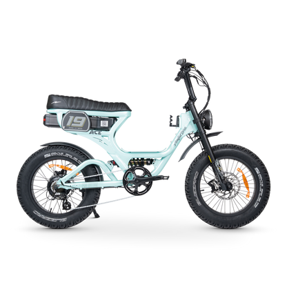 ACE PRO Electric Bike