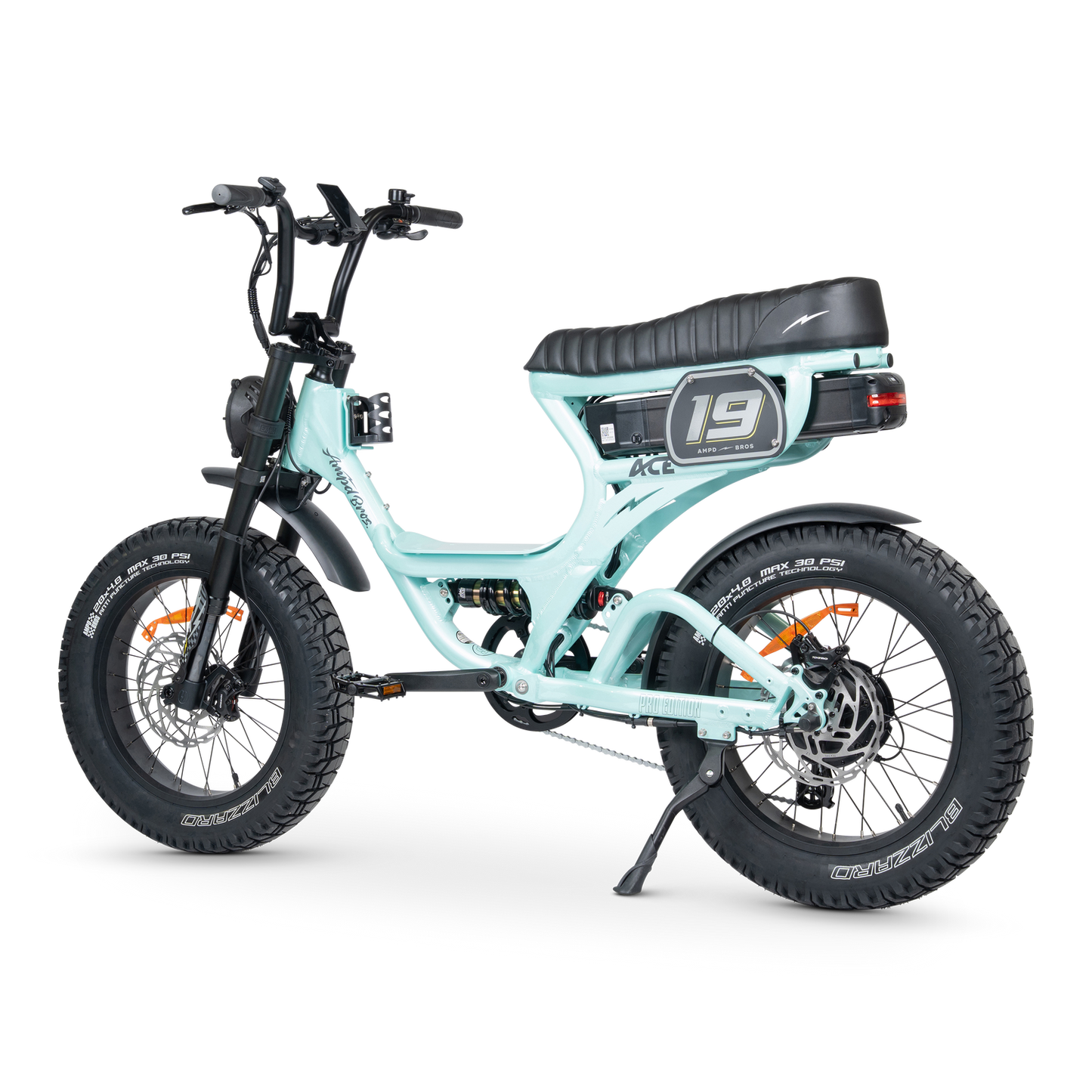 ACE PRO Electric Bike