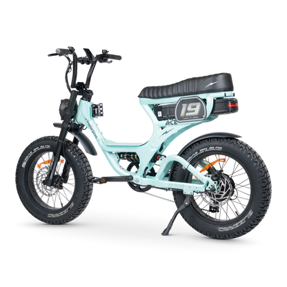 ACE PRO Electric Bike