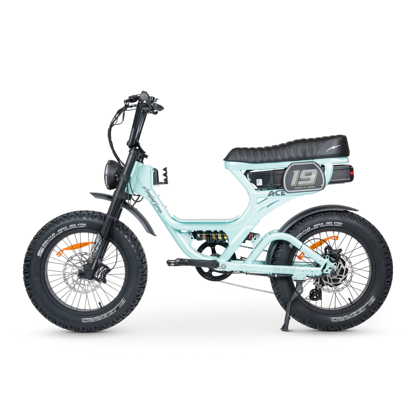 ACE PRO Electric Bike