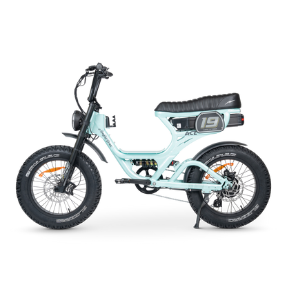 ACE PRO Electric Bike