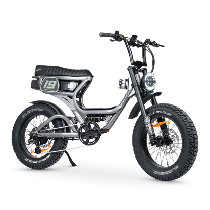 ACE PRO Electric Bike