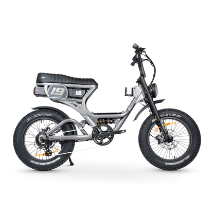 ACE PRO Electric Bike