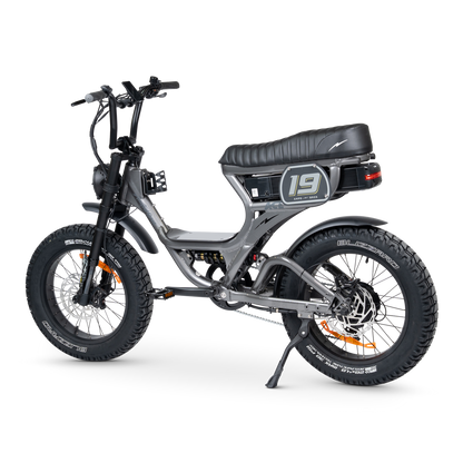 ACE PRO Electric Bike