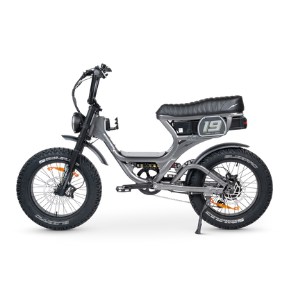 ACE PRO Electric Bike