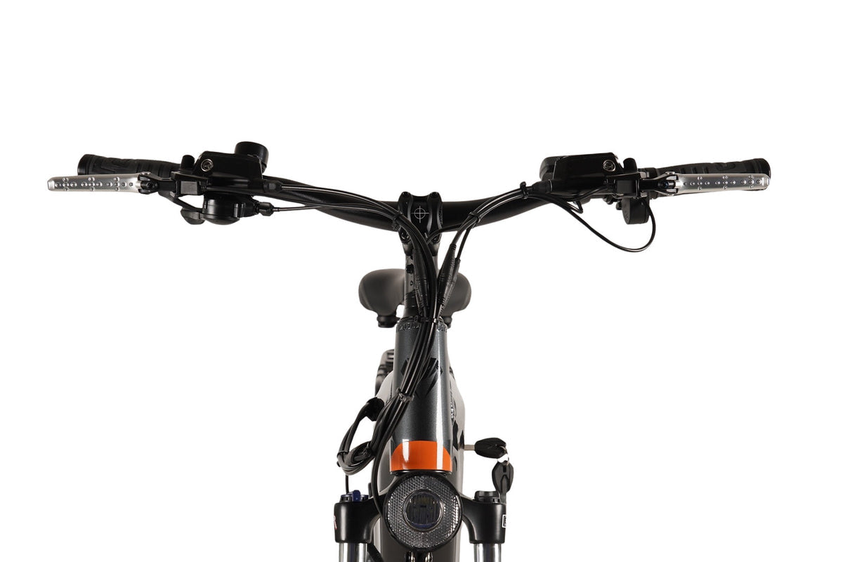 Mamba Venom Antidote Electric Bike