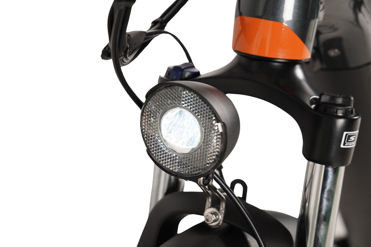 Mamba Venom Antidote Electric Bike
