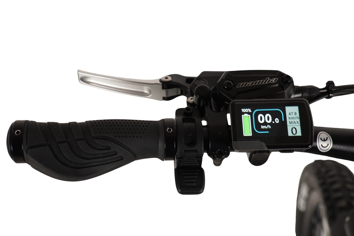 Mamba Venom Antidote Electric Bike