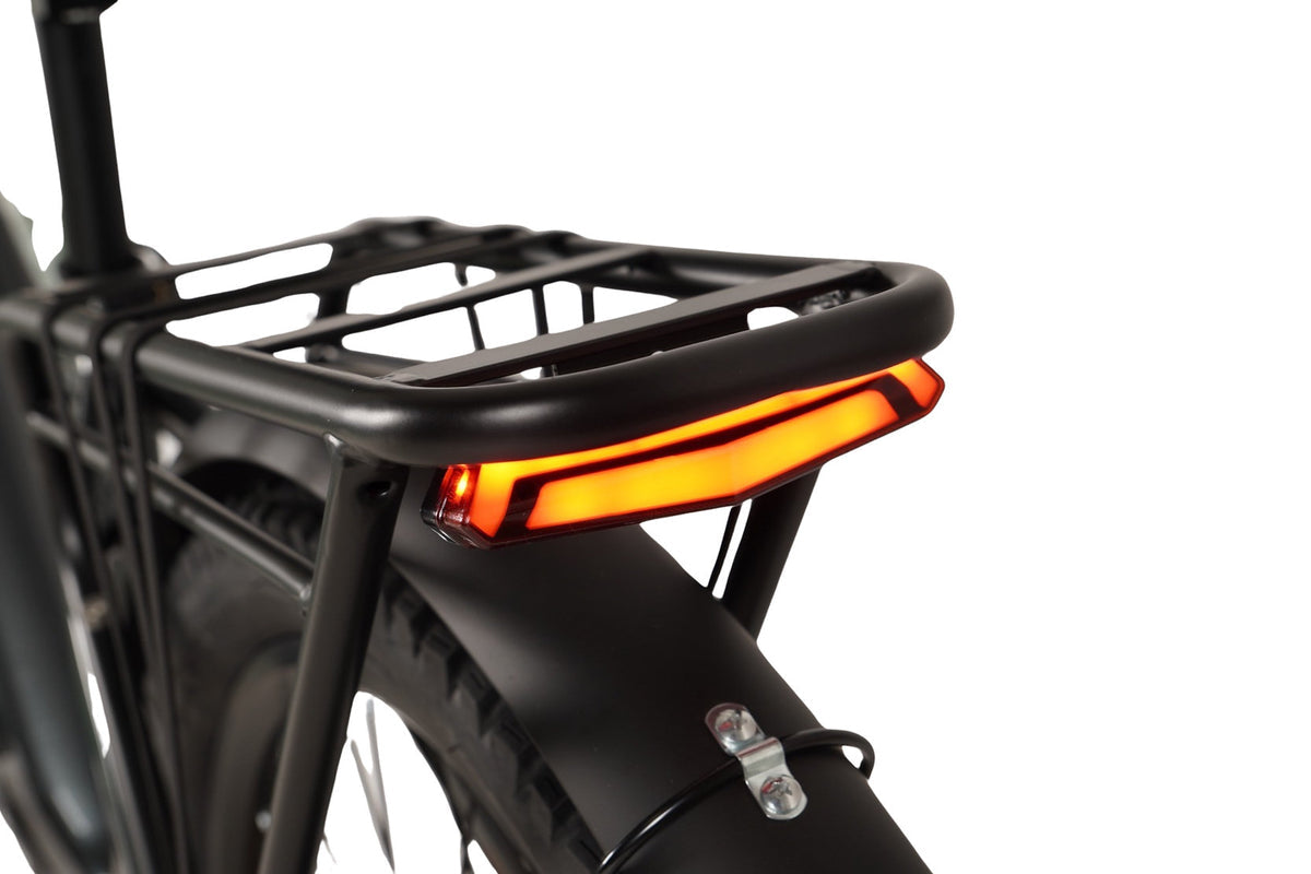 Mamba Venom Antidote Electric Bike