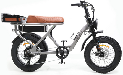 DiroDi Rover Standard & Plus Gen 6