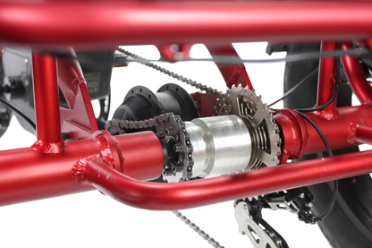 Vamos Papa Grande Pro - 3 Wheel E-Trike