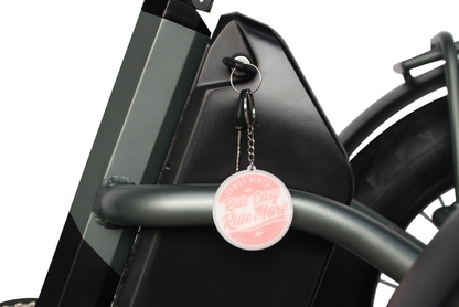 Vamos Papa Grande Pro - 3 Wheel E-Trike