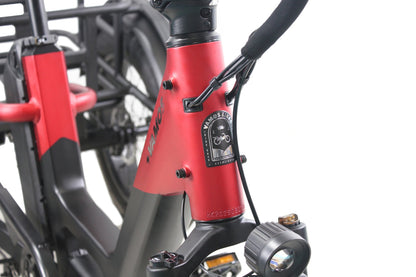 Vamos Papa Grande Pro - 3 Wheel E-Trike