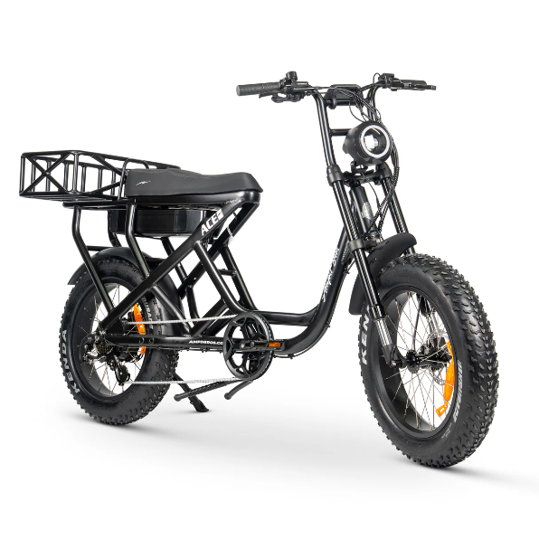 ACE-S Cargo MAX Electric Bike