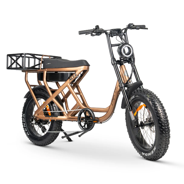 ACE-S Cargo MAX Electric Bike
