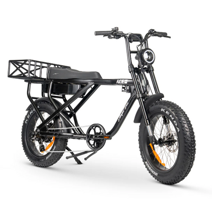ACE-X Cargo MAX Electric Bike
