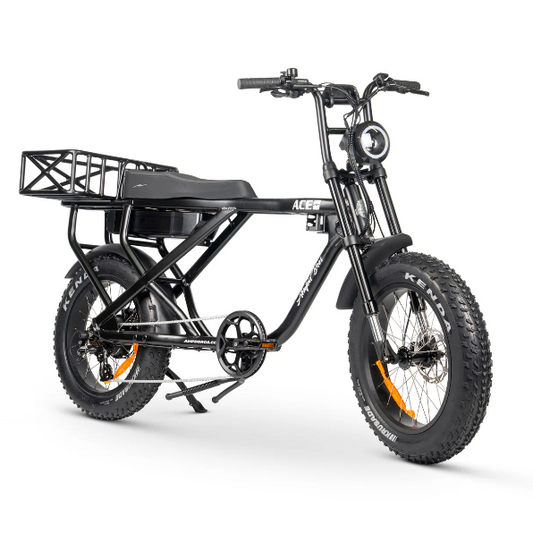 ACE-X Cargo MAX Electric Bike