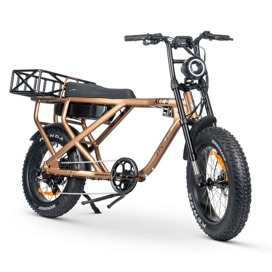 ACE-X Cargo MAX Electric Bike