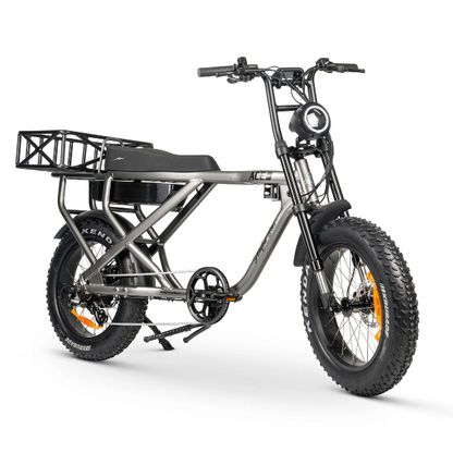 ACE-X Cargo MAX Electric Bike