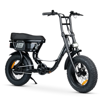 ACE-S MINI ELECTRIC BIKE