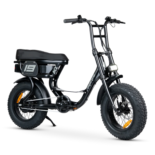 ACE-S MINI ELECTRIC BIKE