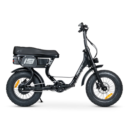ACE-S MINI ELECTRIC BIKE