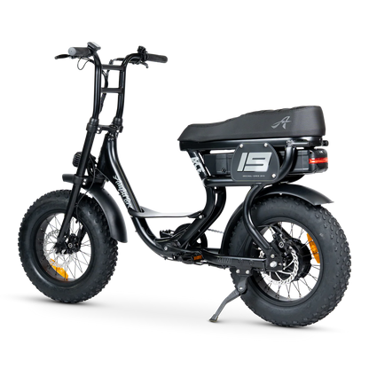 ACE-S MINI ELECTRIC BIKE