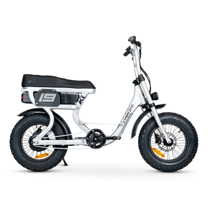 ACE-S MINI ELECTRIC BIKE