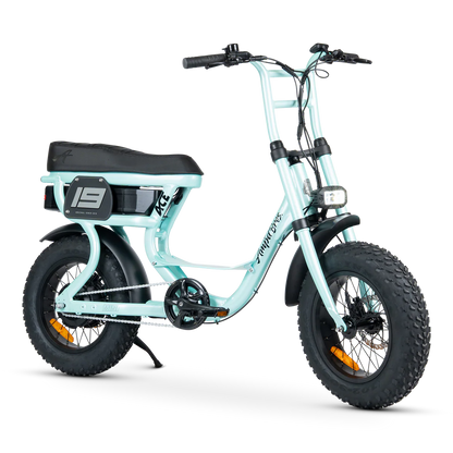 ACE-S MINI ELECTRIC BIKE