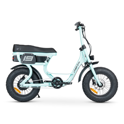 ACE-S MINI ELECTRIC BIKE