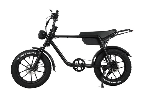 Mamba Sahara 48V 17Ah 750W