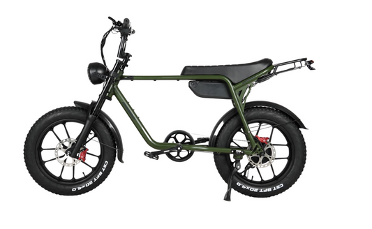 Mamba Sahara 48V 17Ah 750W