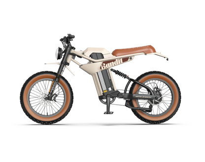 Bolzzen Bandit