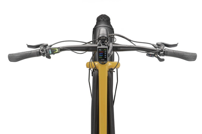 Tern Orox S12 (29")