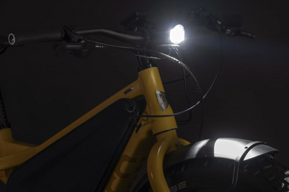 Tern Orox S12 (29")