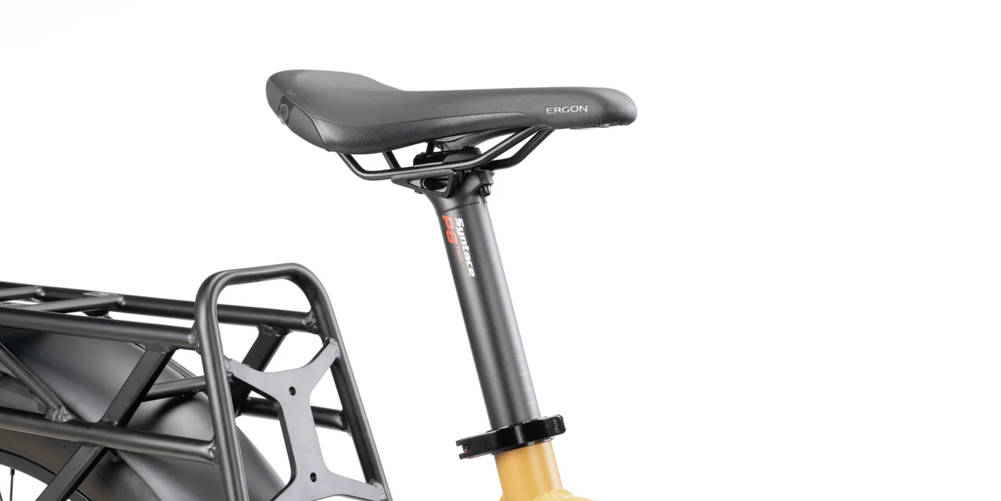Tern Orox S12 (29")