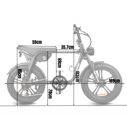 Fatfish OG 2.0 Fat Tyre E-Bike